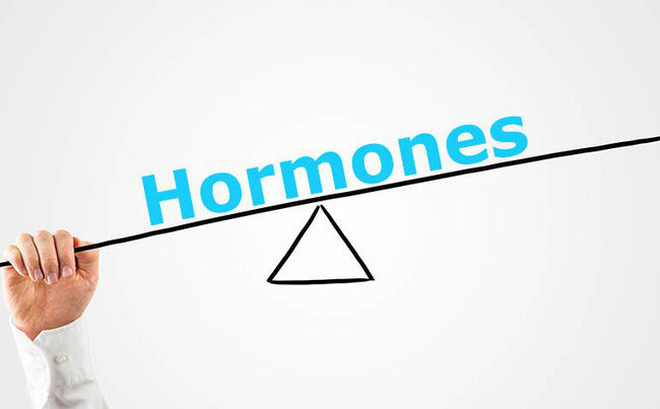 Hormone là gì?